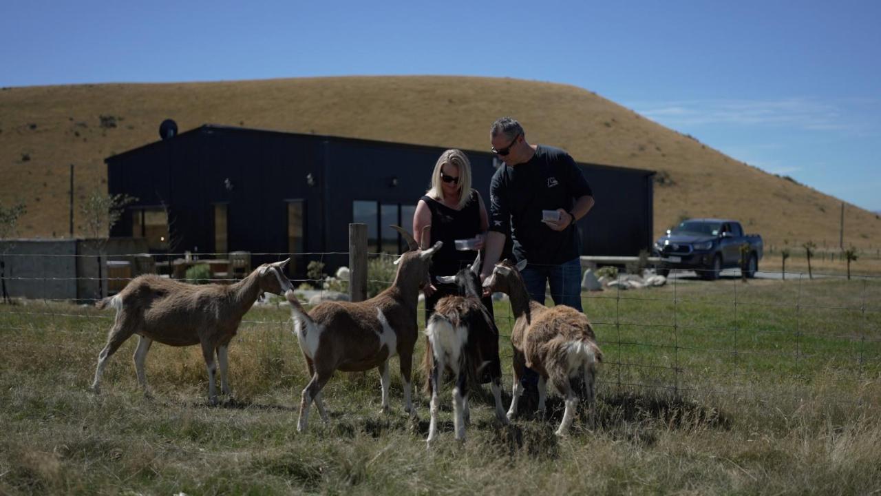 Highlands Farm Stay Twizel Exterior foto
